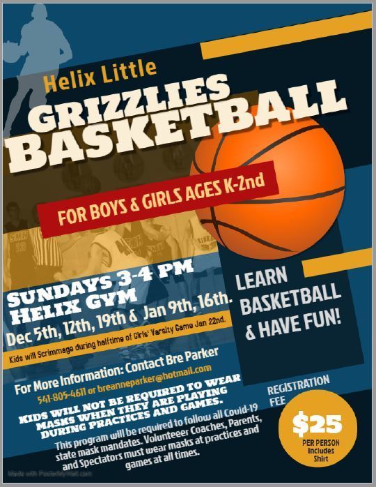 Little Grizzlies Basketball flyer